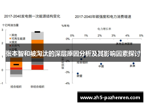 张本智和被淘汰的深层原因分析及其影响因素探讨