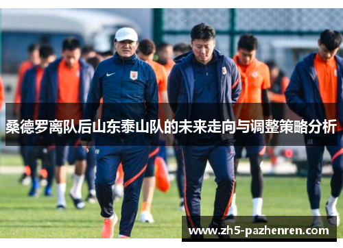 桑德罗离队后山东泰山队的未来走向与调整策略分析