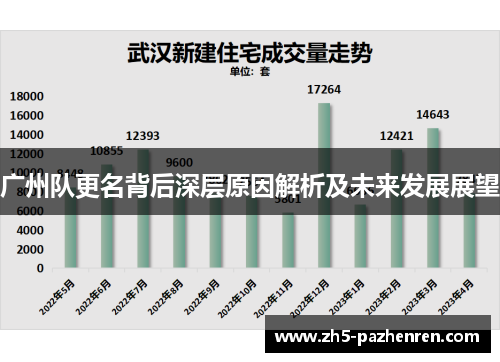 广州队更名背后深层原因解析及未来发展展望